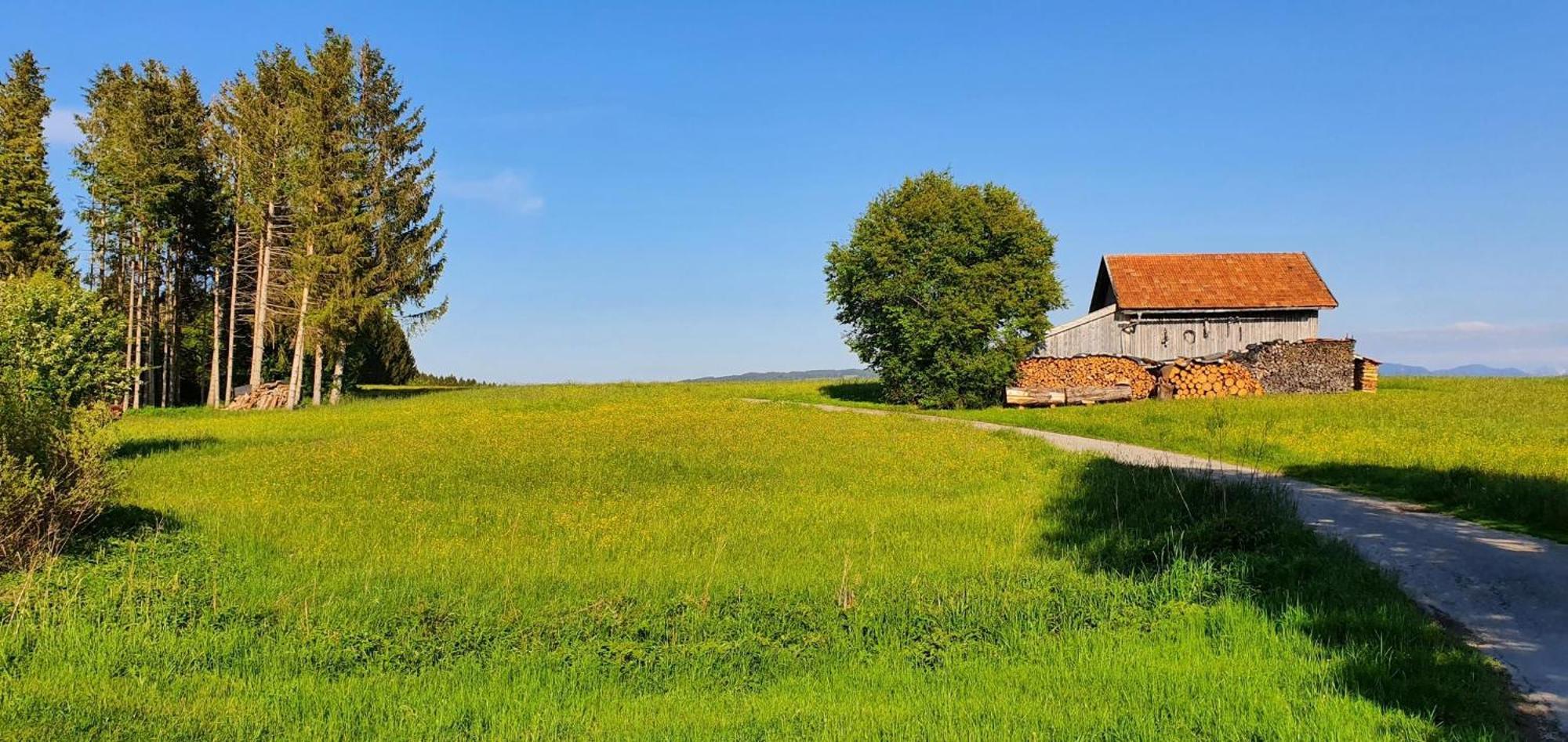 Lechbruck Am See Feriendorf Hochbergle Haus 140 Zewnętrze zdjęcie